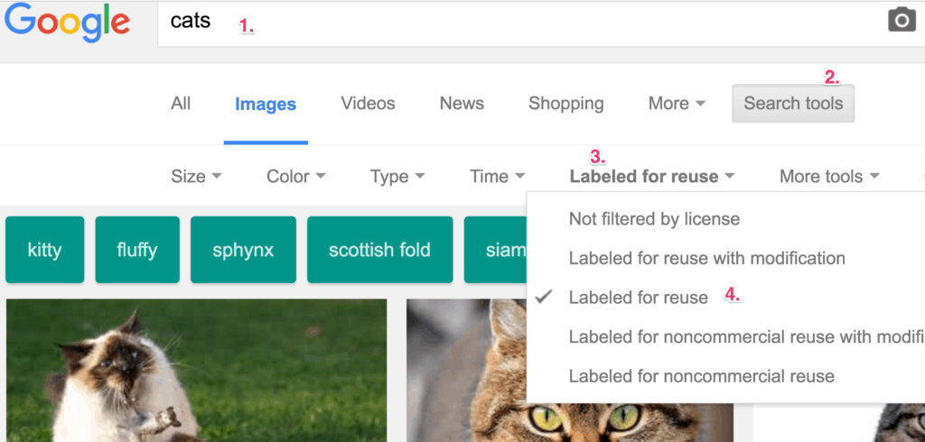 cats_-_google_search